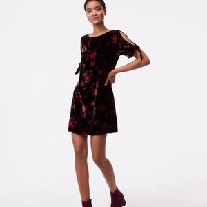 Loft Petite Fall Floral Velvet Dress Size XSP NWT